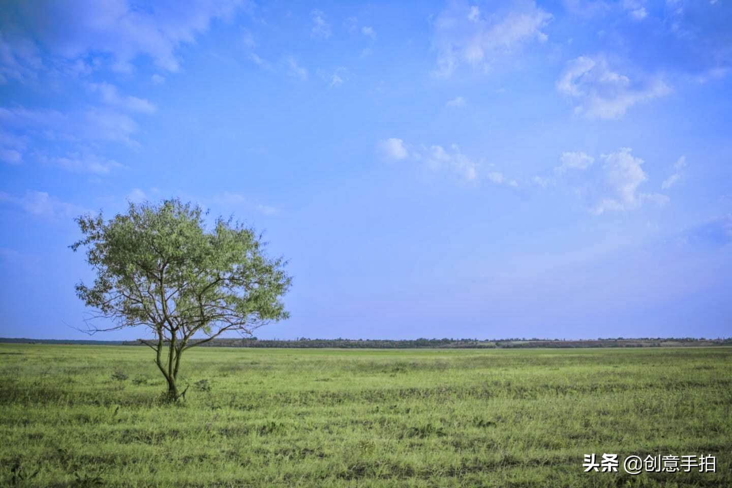 手机修图技巧和方法,修图技巧手机