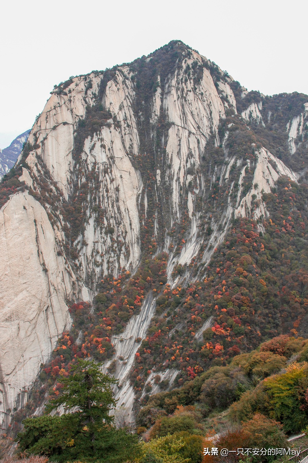 为什么爬华山都是夜爬,华山自古一条道很有必要爬吗