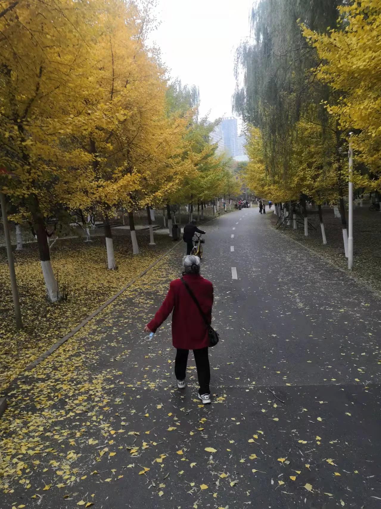 长白岛森林公园地铁,长白岛森林公园打卡攻略