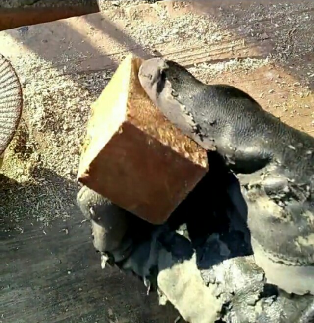 手把件木雕入门简单的物件,自学木雕画教程