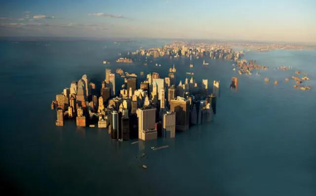 海豚“杰克”在暗礁海域为船只引航41年，爱让我们更懂得善待生命