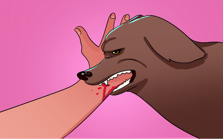 如果被流浪狗咬了怎么办,如果在路上遇见流浪狗怎么处理