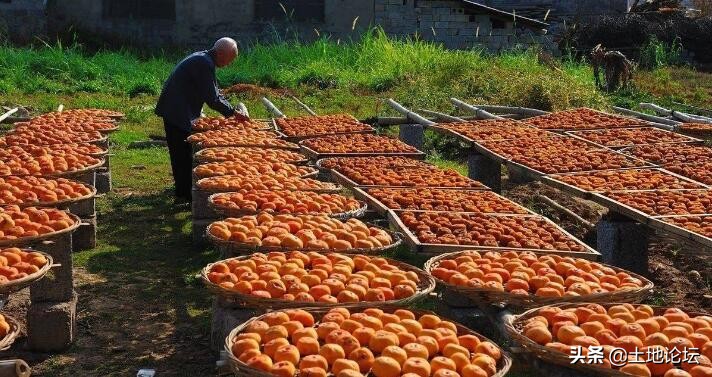 近五年来国家出台的创业政策文件,中央部委创业扶持政策