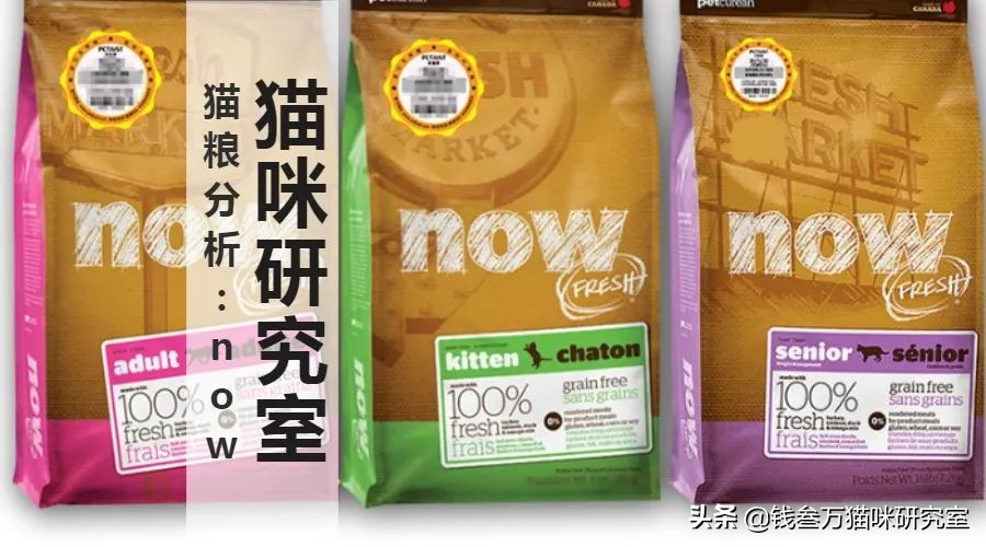 now猫粮和go猫粮,猫粮分析