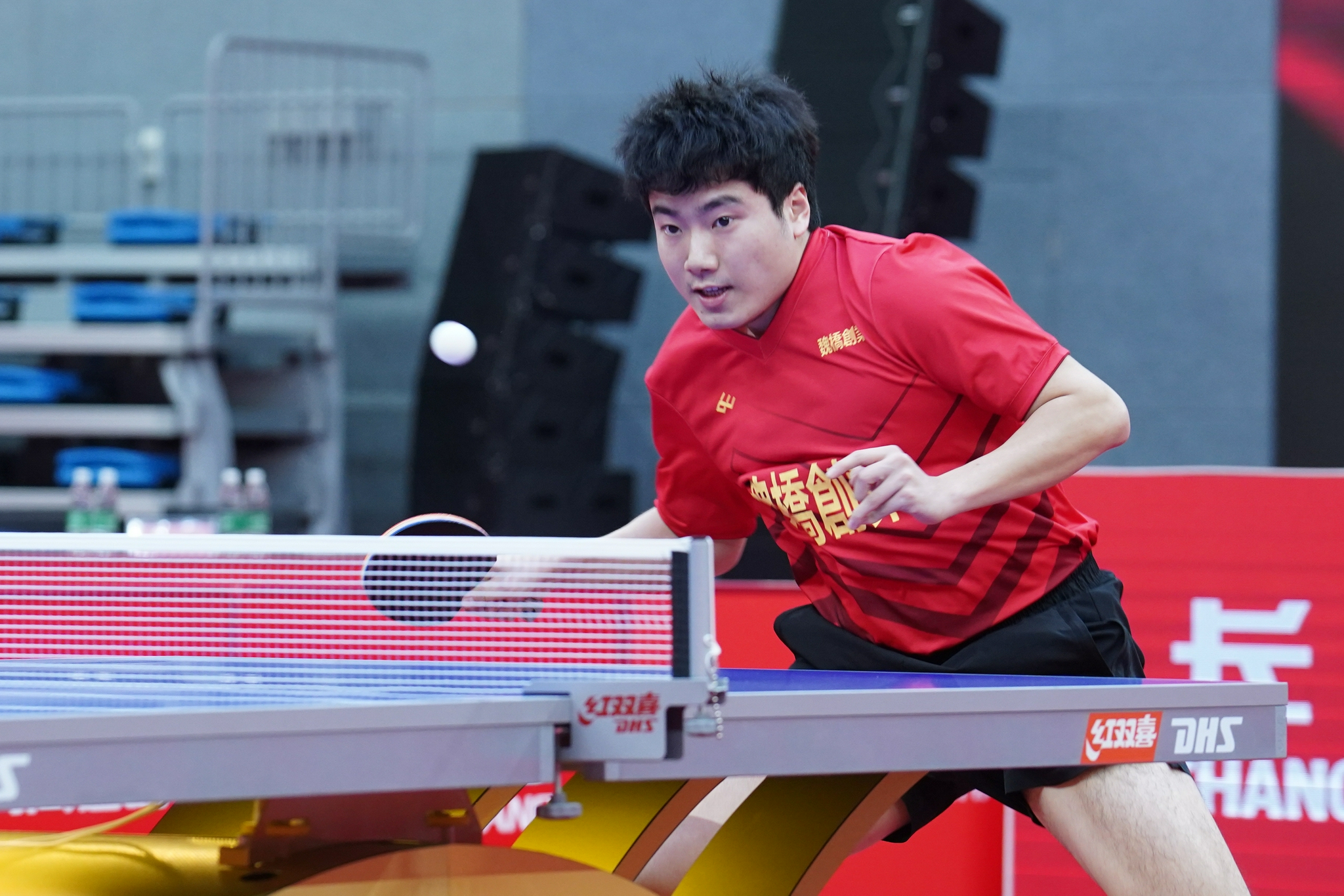 国乒绰号的由来：獒龙蟒、大小胖、大头、小枣、林妹妹…