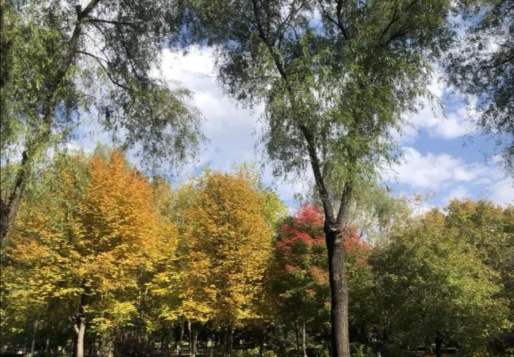 吉林农业科技学院在吉林省哪个市,2022吉林高校学科规模