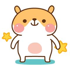 兰州反弹蹦床主题公园,兰州蹦床主题公园票价