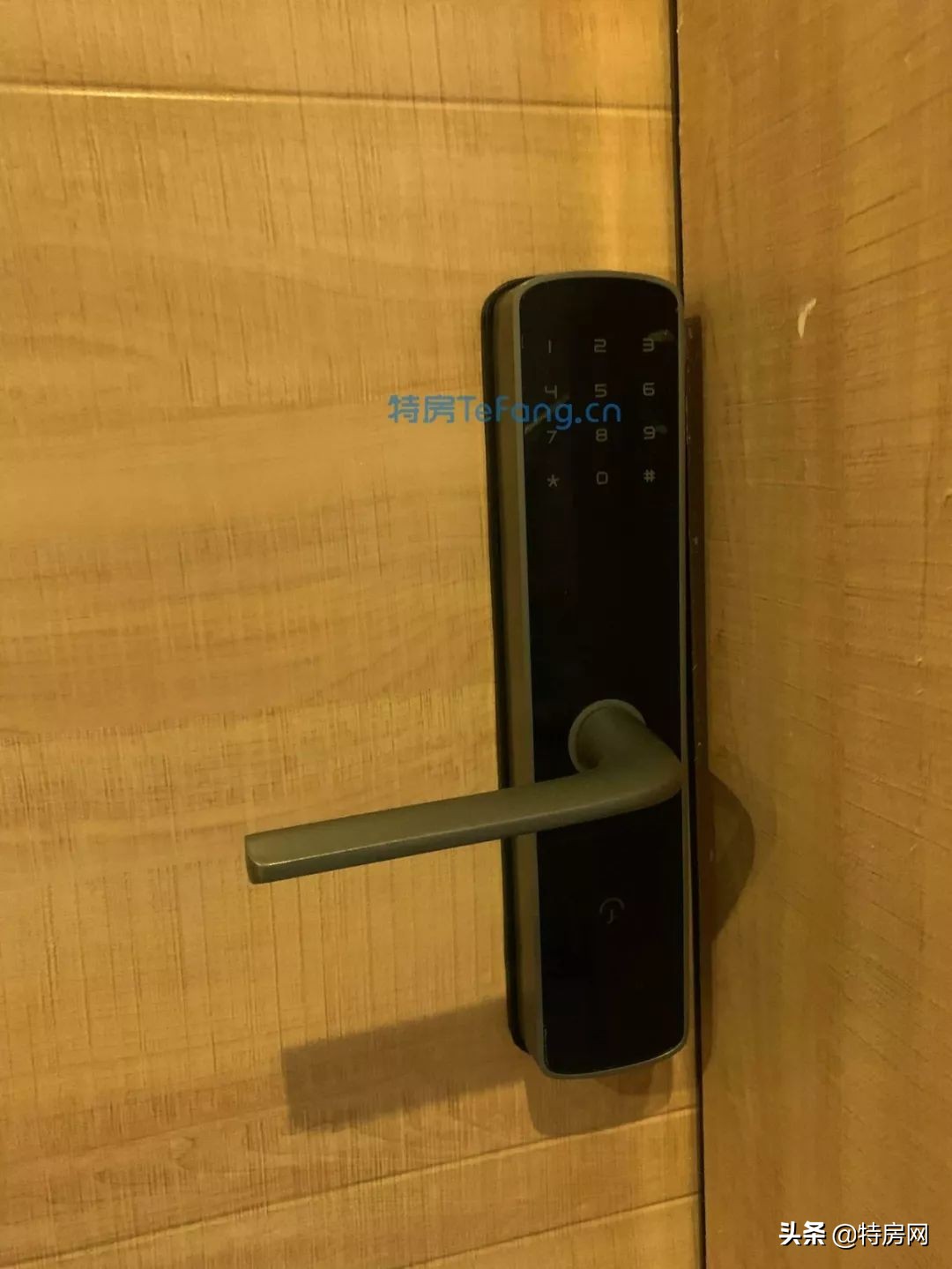 前海500米，地铁150米，买栋农民房当腾讯员工房东，太爽了