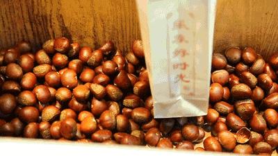 连云港本地吃海鲜攻略速来看,连云港旅游海鲜美食