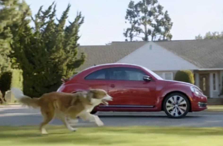 狗狗喜欢追车咬怎么纠正,狗狗喜欢追车怎么办