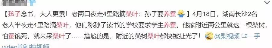 幼儿园手工作业逼疯家长,幼儿园手工作业难倒家长系列