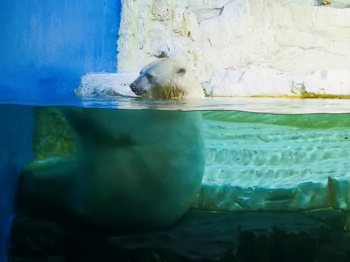 大连金石滩冬天一路美景,漫步在大连金石滩的黄金海岸