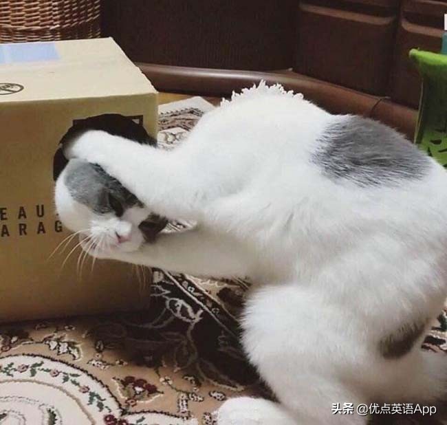 讽刺与幽默:你知道老美是怎么调侃他们的乡下人的吗?