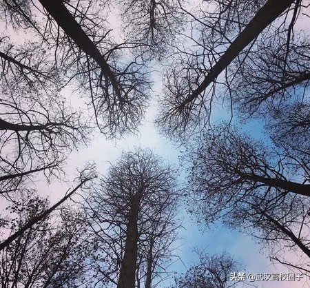 武汉东湖游玩攻略骑行路线,来武汉东湖绿道打卡玩法全攻略