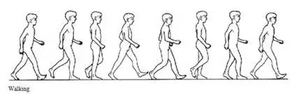 腘绳肌二级拉伤和三级拉伤的区别,大腿内侧拉伤韧带