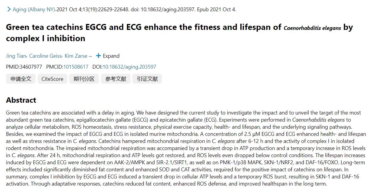 爱喝茶的人,容易患癌?医生辟谣:茶叶不“害人”,但2种茶别喝