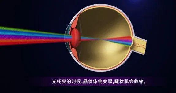 不伤眼睛显示器调整最佳参数,什么显示器保护眼睛