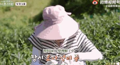 柳演锡申贤彬为什么叫wintergarden,罗英锡曺圭贤