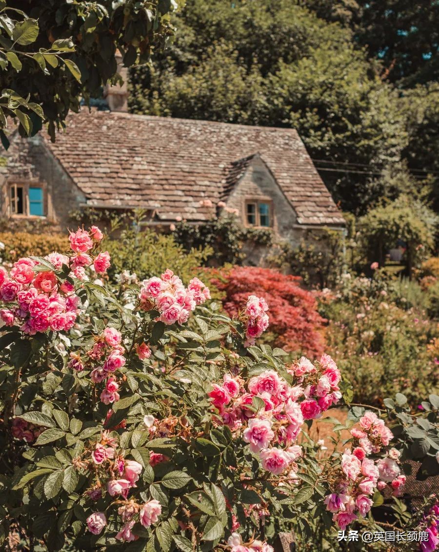英国最值得去的小镇,英国旅行避暑推荐地方有哪些