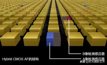 摄影基础相机自动对焦区域,手机怎么摄影自动对焦