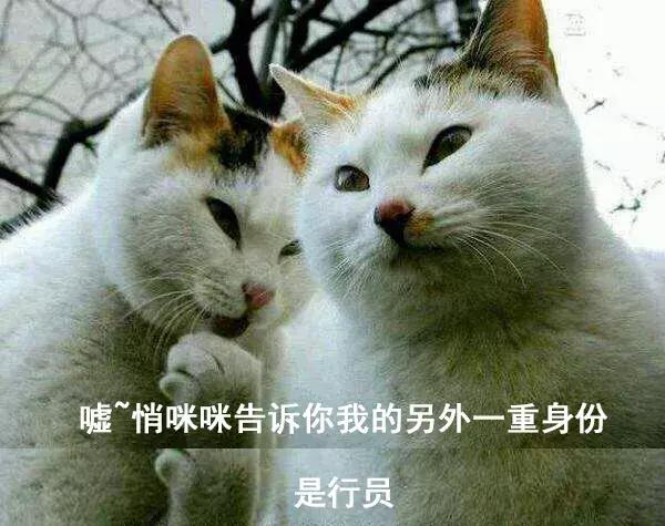 揭秘！应届生进银行，职位等级是多高？各大银行职位等级划分披露