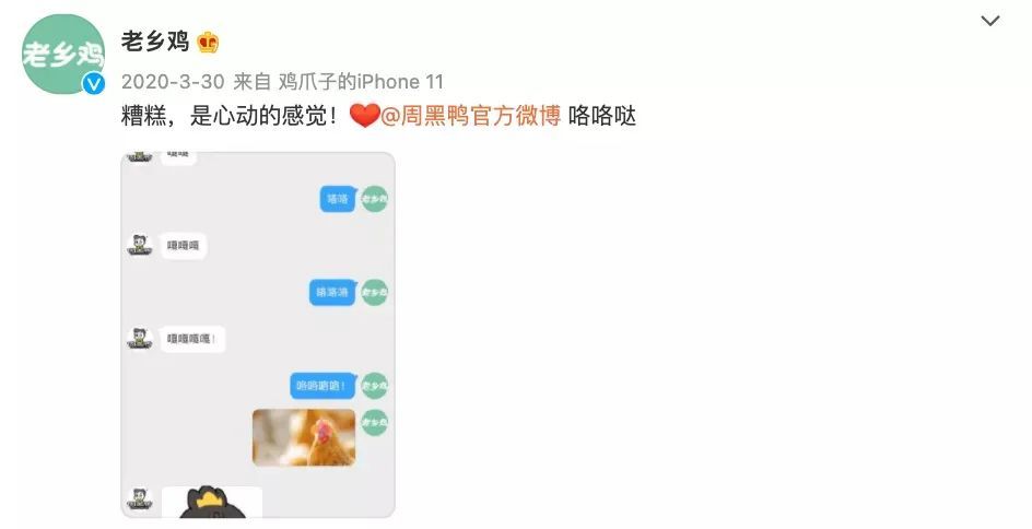 「大问局之老乡鸡」每天工作咯咯哒,土味老乡鸡真的土味吗?