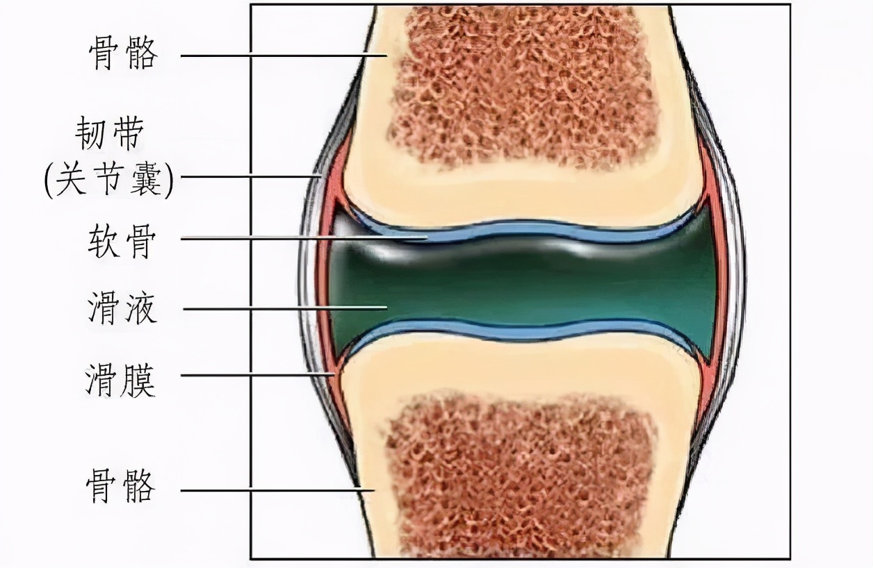 关节咔咔响是什么原因引起的,关节咔咔响的人要注意了