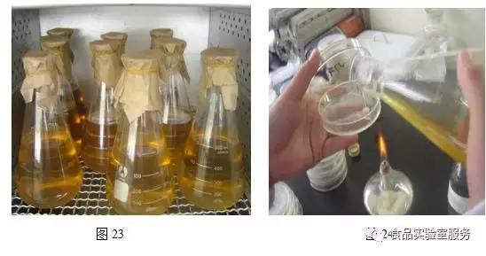 微生物的选择培养接种方法,微生物选择培养的对照处理方法