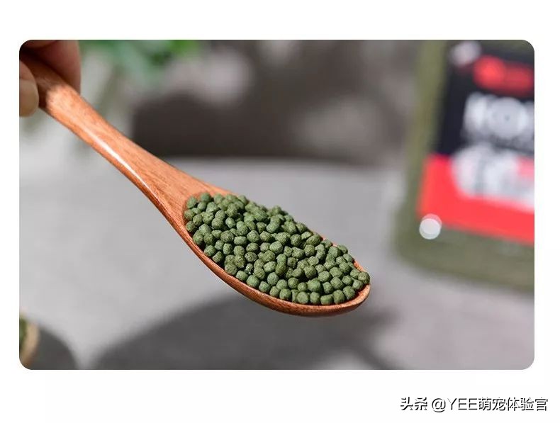 一条观赏鱼吃三种粮，都是必备，吃得过来吗