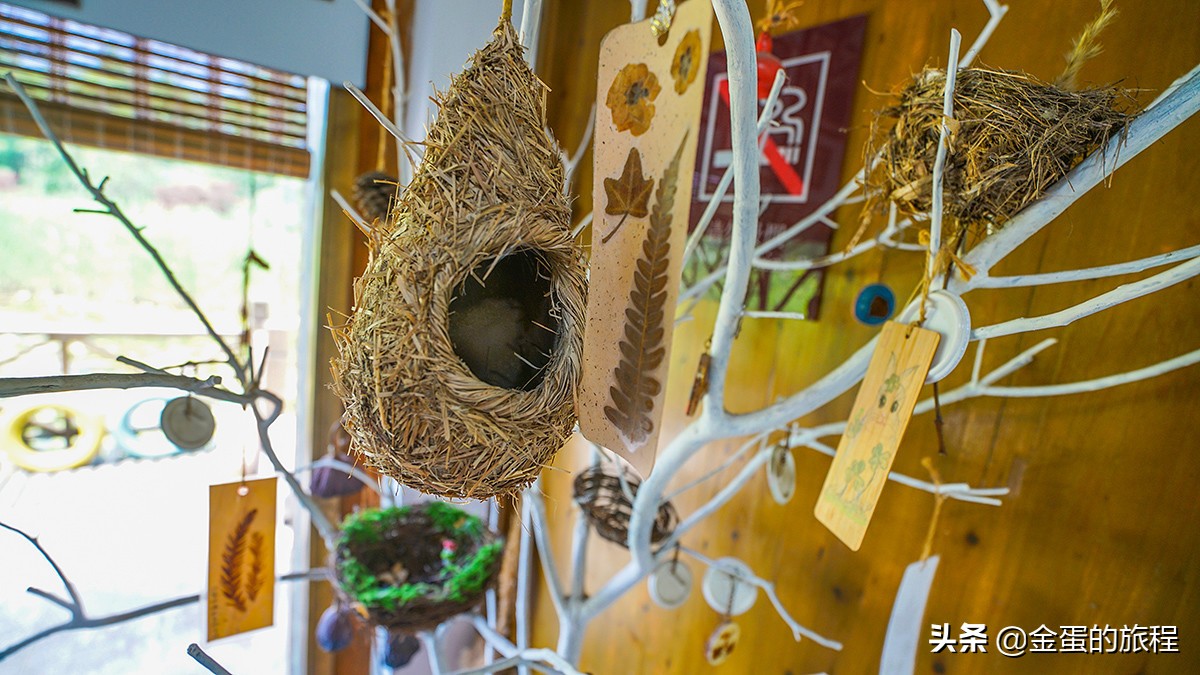 苏州人都不知晓的景点,苏州只有本地人知道的风景区