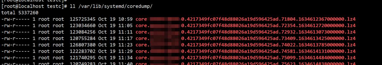 core是什么文件,怎么关闭core文件的生成