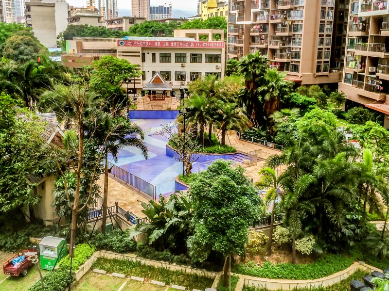 深圳市最牛公办初中部,深圳最牛的学校