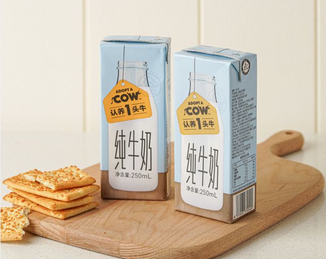 拒绝精神恍惚，早晨5分钟仪式一定要记得