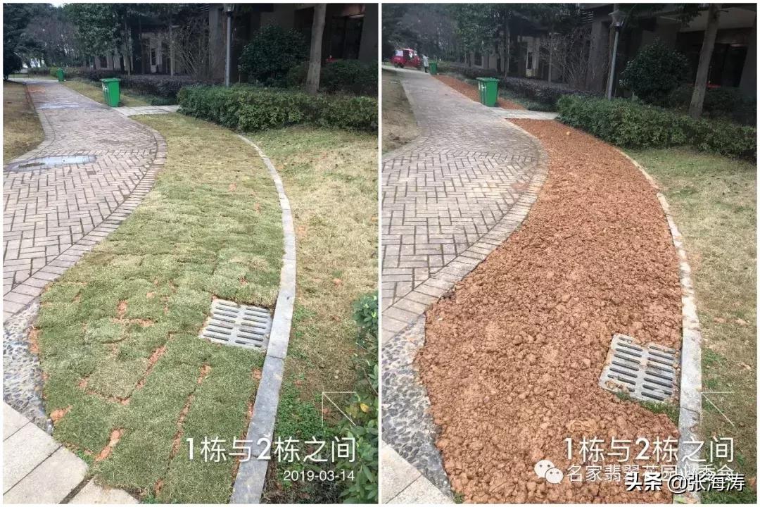 业委会整改小区绿化,名家翡翠花园业委会