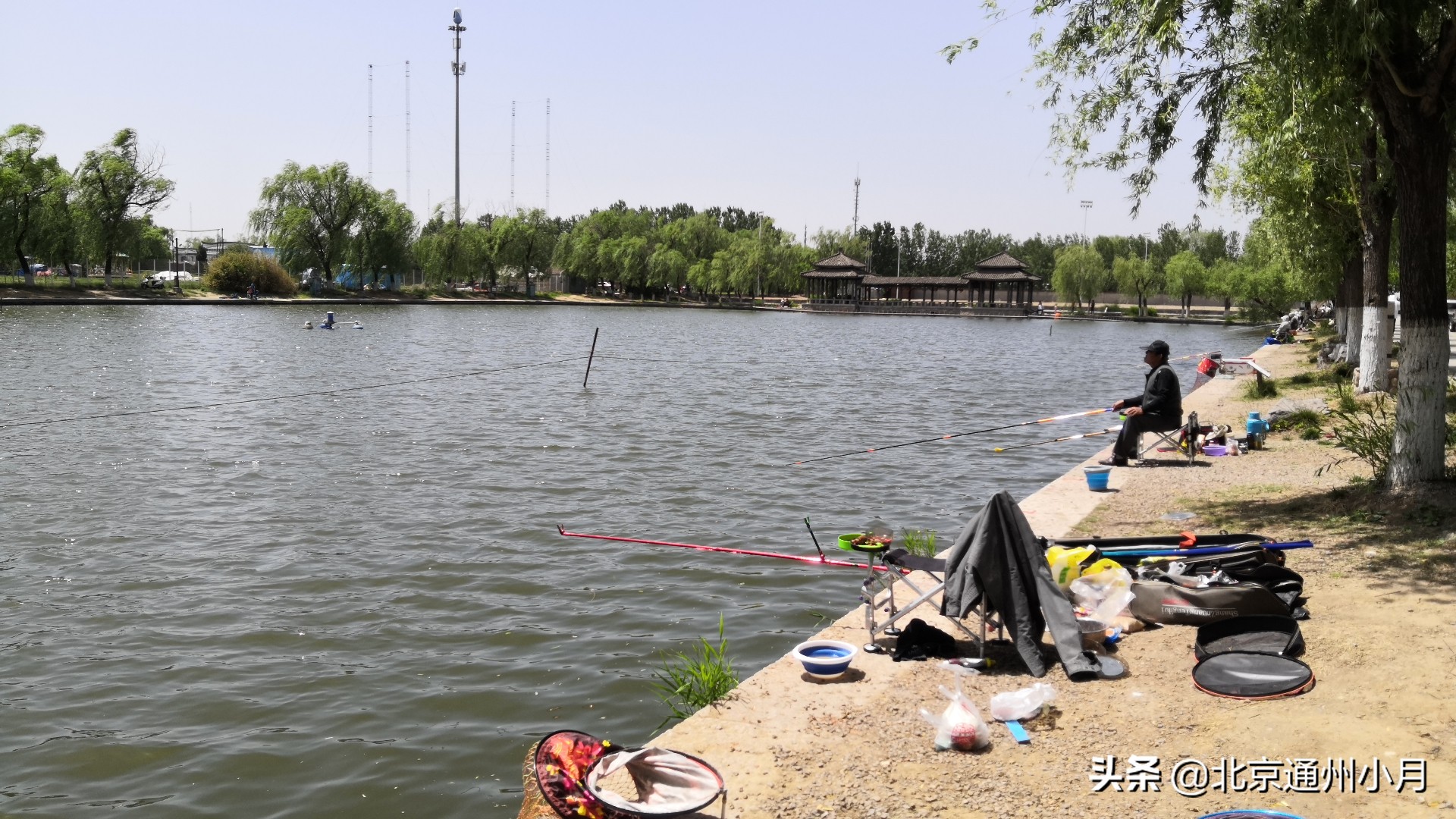 北京的蟹岛,北京最大的蟹岛