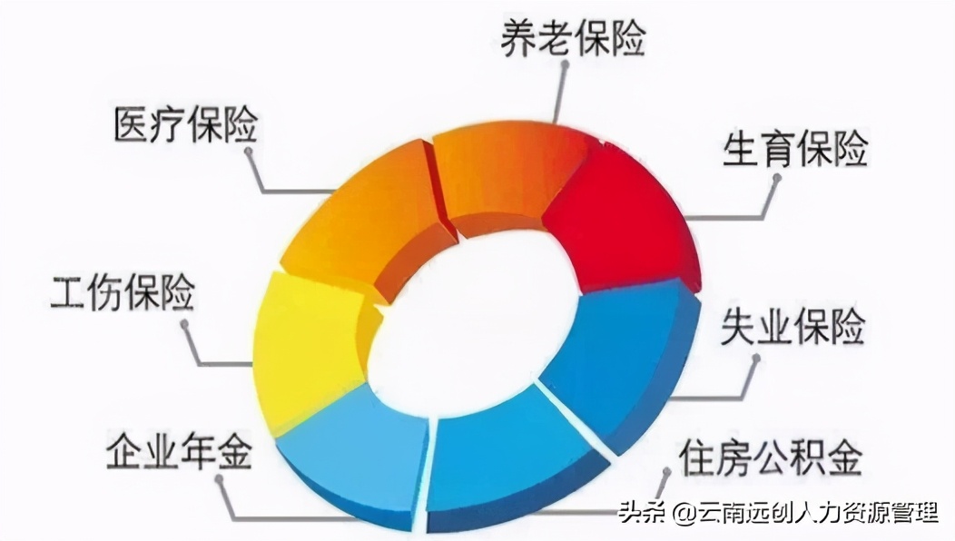 什么单位可以有五险两金,五险两金这两金是指什么