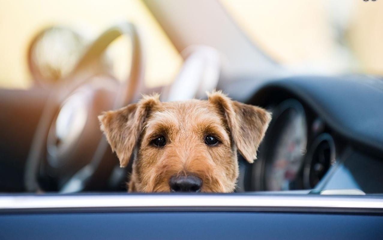 美国高温逼近50度为什么,美国高温为什么不装空调