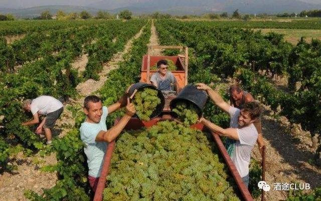 法国一级酒庄红酒价格查询表,法国原装酒庄干红进货价格