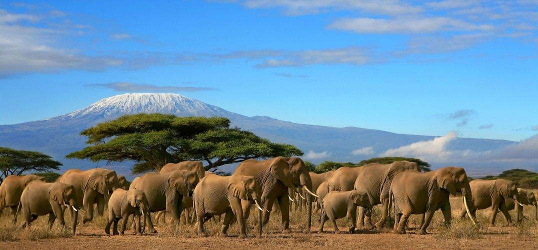 肯尼亚需要准备什么,去肯尼亚需要注意哪些问题