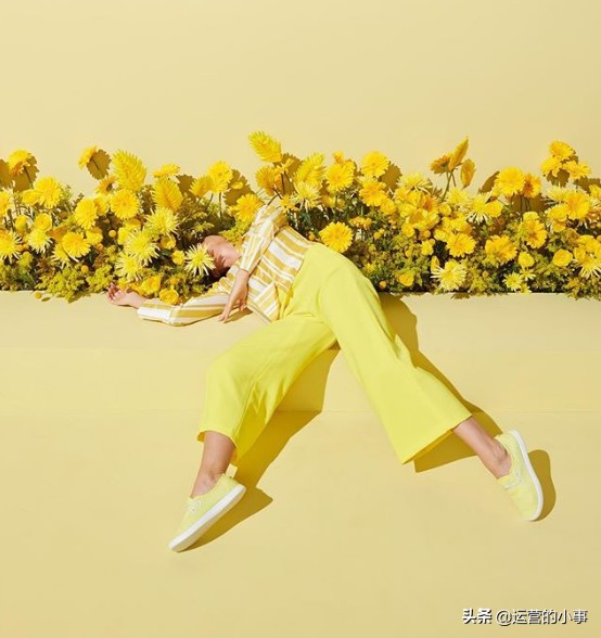 allbirds京东旗舰店是正品吗,allbirds是什么品牌