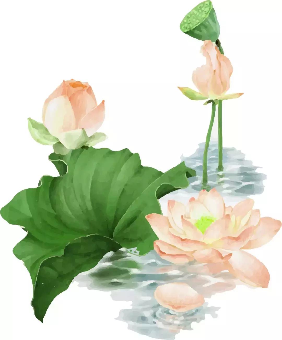 一场秋雨一场寒医生教你如何养生,杏林微科普大寒时节话养生