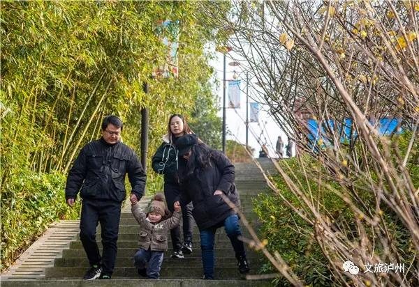 泸州的腊梅花在什么地方,泸州腊梅花观赏