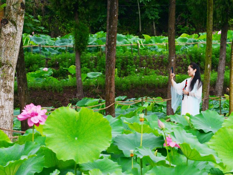 涔愯嚦鑽疯姳鎽勫奖浣滃搧娆ｈ祻,涔愯嚦鍗拌薄鎽勫奖