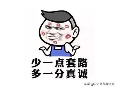 买肥料被骗了怎么办,买农资的坑