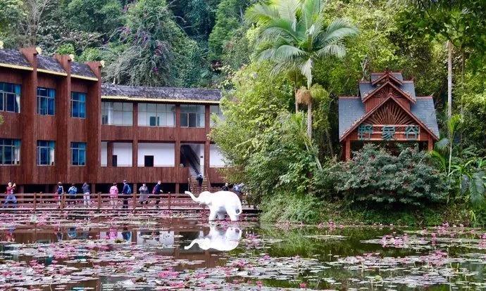 西双版纳风景之旅自由行旅游攻略,邂逅雨林西双版纳秘境之旅