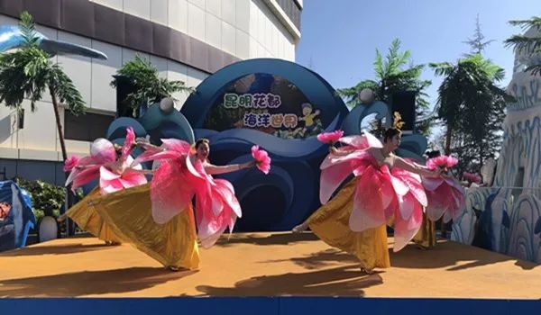 海洋剧场秀、丛林萌宠乐园、风车向阳花，昆明热闹新春，属于它