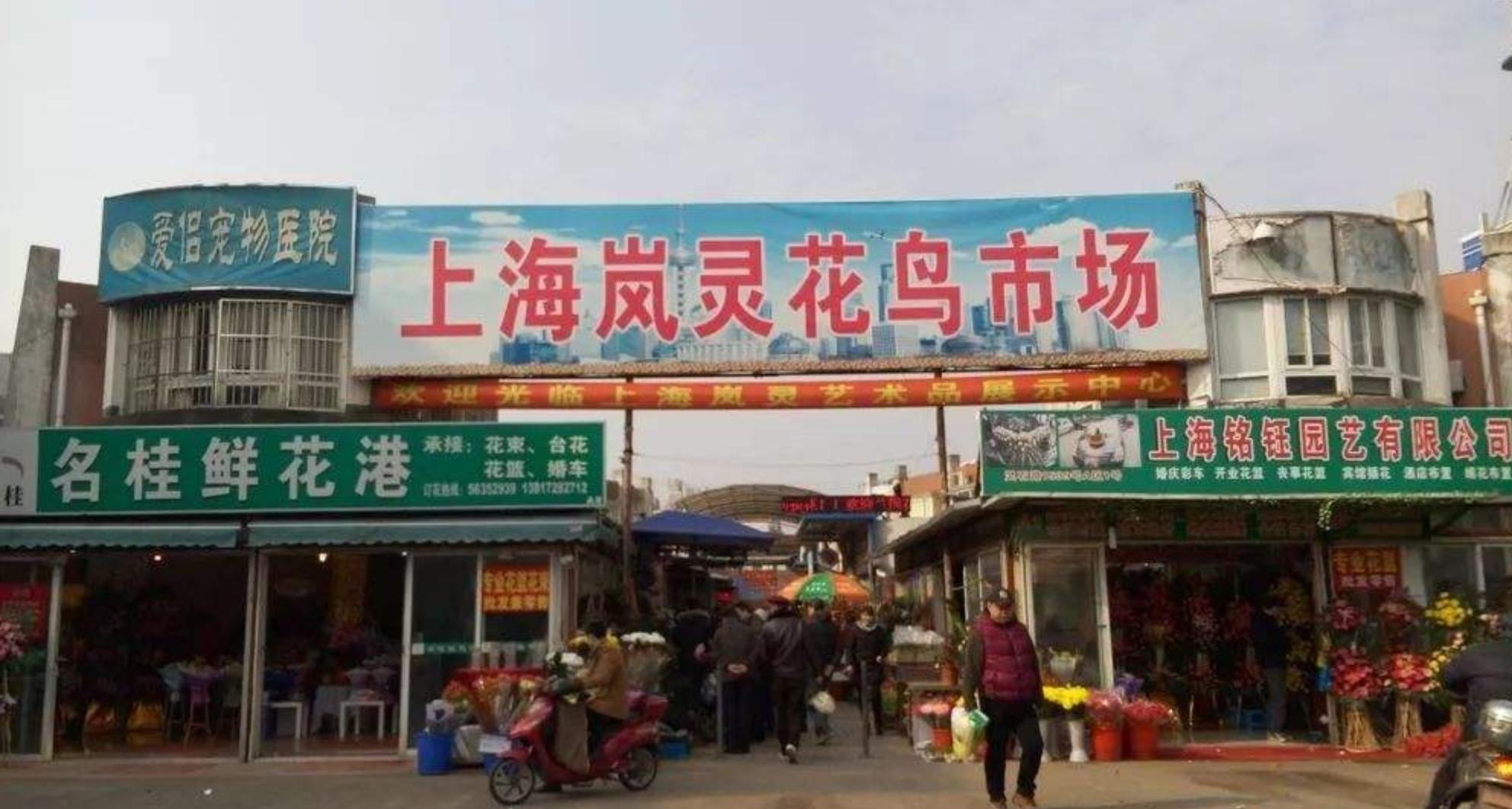 全国最大花鸟鱼虫市场排名,花鸟鱼虫批发市场哪里最便宜