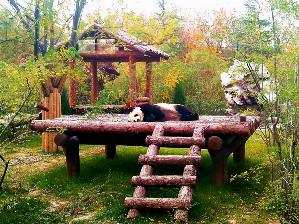 山东济南4a景点,济南市华山旅游景区