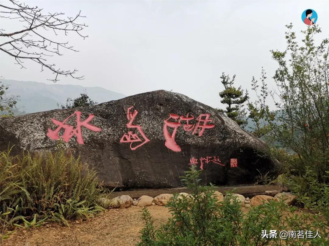 冰岛五寨糯五价格,冰岛五寨谁最有性价比