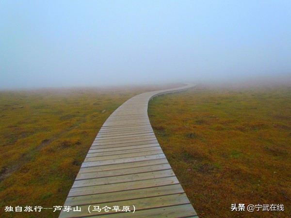 宁武芦芽山悬崖栈道,太原出发芦芽山马仑草原自驾路线